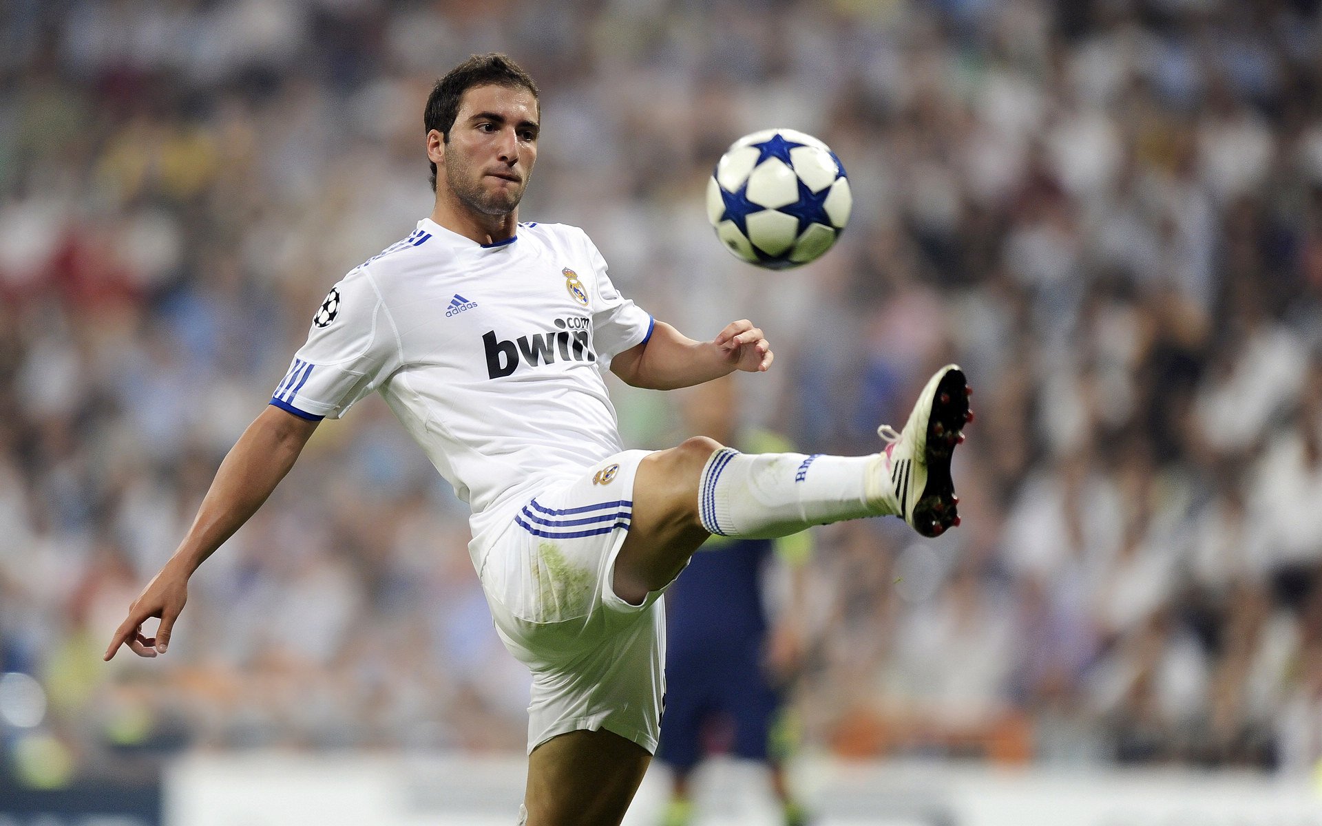 开云网页版-球场花絮：幕后趣味小故事让你笑出声，球场搞笑视频